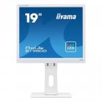 Monitor LED IIyama B1980D-W1, 19inch, 1280x1024, 5ms, White