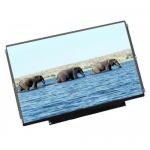 Display Hyunday BOE 13" LED HW13HDP101