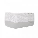 Tastatura Wireless Delux GM902, USB Wireless/Bluetooth, White