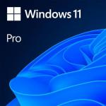 Microsoft Windows 11 Professional 64-bit, Engleza, Retail/FPP, USB