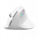 Mouse Optic Delux M618 Mini, USB Wireless/Bluetooth, White
