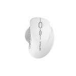  Mouse Optic Serioux GLIDE 515, USB Wireless, White