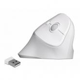 Mouse Optic Delock 12596, USB Wireless, White