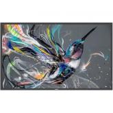 Business Display Philips Seria Q-Line 43BDL3550Q, 43inch, 3840x2160pixeli, Black
