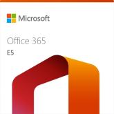 Microsoft Office 365 E5 EEA (no Teams), 1 User, 5 Devices, 1Year