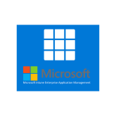 Microsoft Intune Enterprise Application Management, 1Year