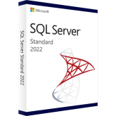 Microsoft SQL Server 2022 Standard Edition, 1 User, 1 Device, Perpetual
