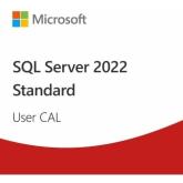 Microsoft SQL Server 2022, 1 Device CAL, Perpetual