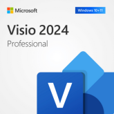Microsoft Visio LTSC Professional 2024, Perpetual