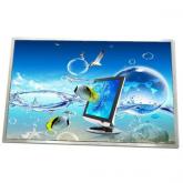 Display ChiMei 10.1" LED N101ICG-L21 pentru Tableta Asus Transformer EeePad TF300