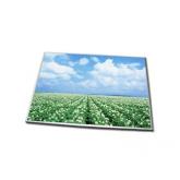 Display Laptop AUO 8.9 LED A089SW01 V.0