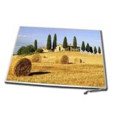 Display Laptop Boe 12.1 CCFL HT121WX2-103