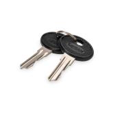 Cheie rack Digitus by Assmann DN-19-KEY-4444, 2 bucati