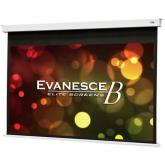 Ecran de protectie EliteScreens EB110HW2-E12, 243.5x136.9cm