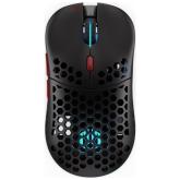 Mouse Optic Endorfy LIX Plus Wireless, ARGB LED, USB/USB Wireless, Black