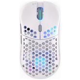 Mouse Optic Endorfy LIX Wireless, ARGB LED, USB/USB Wireless, Onyx White