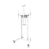 Stand TV Neomounts by Newstar FL55-875WH1, 37-100inch, White