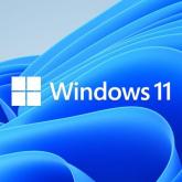 Microsoft Windows 11 Home 64-bit, Romana, Retail/FPP, USB