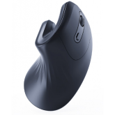 Mouse Optic Gembird MUSW-ERGO-03, USB Wireless, Black