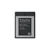 Memory Card CFexpress SanDisk Professional 256GB