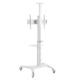 Stand Gembird TVS-70T-02-W, 37-70inch, White