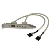 Adaptor Startech USBPLATE, 2x USB - IDC, 5pin