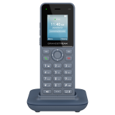 Telefon IP Grandstream WP816, 2 conturi SIP, 2 linii, Grey