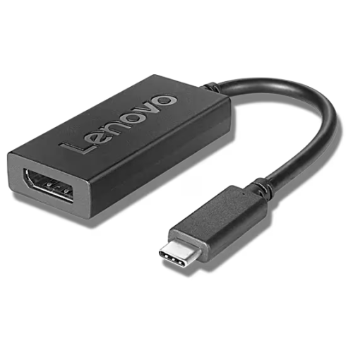 Adaptor Lenovo 4X90Q93303, USB-C male - DisplayPort female, Black