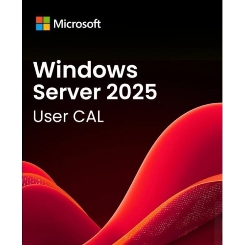 Dell Windows Server 2025 Standard, CAL, 1 user