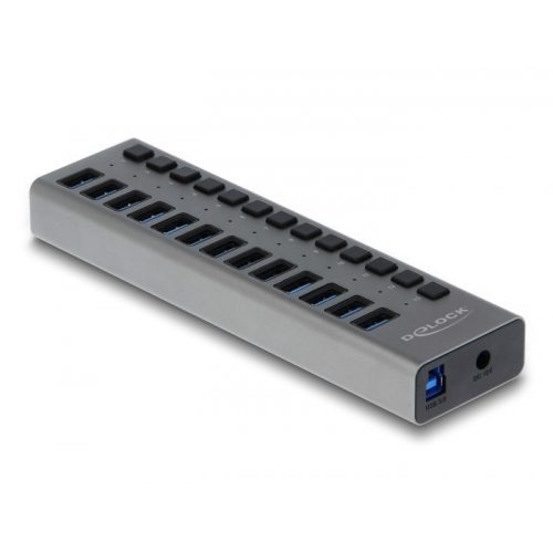 Hub USB Delock 63738, 13x USB-A, Gray