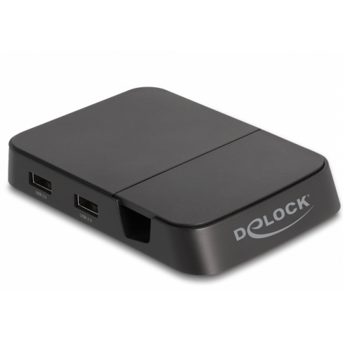 Docking Station Delock 88018, Black