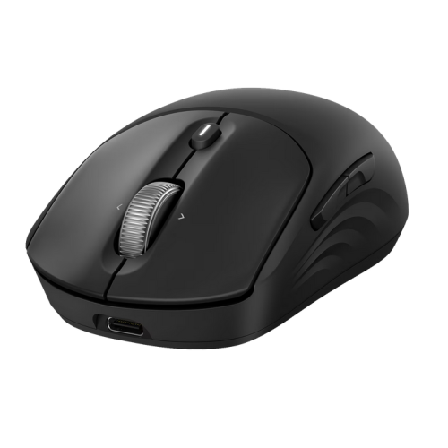 Mouse Optic HP 700, USB Wireless/Bluetooth, Black