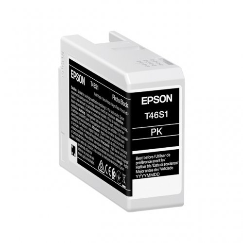 Cartus Cerneala Epson T46S1 Photo Black
