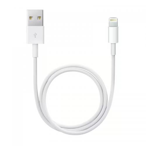 Apple Lightning to USB Cable (0.5 m)