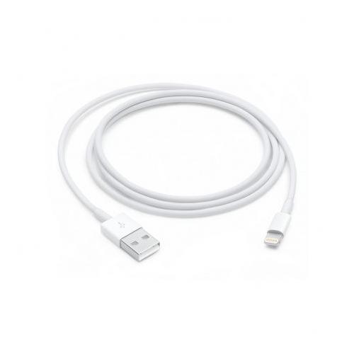 Apple Lightning to USB Cable (1 m)