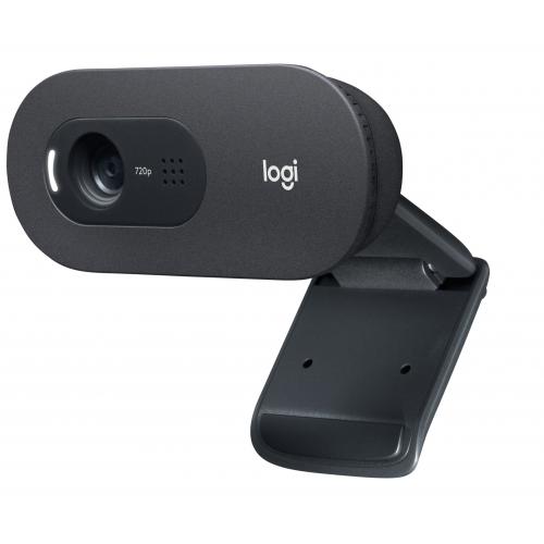 Camera Web Logitech C505e HD, USB, Black