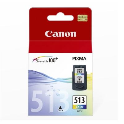 Cartus cerneala Canon CL-513, color, capacitate 13ml / 350 pagini, pentru Canon Pixma IP2700, Pixma MP230, Pixma MP240, Pixma MP250, Pixma MP260, Pixma MP270, Pixma MP280, Pixma MP282, Pixma MP480, Pixma MP490, Pixma MP495, Pixma MX320, Pixma MX330, Pixma