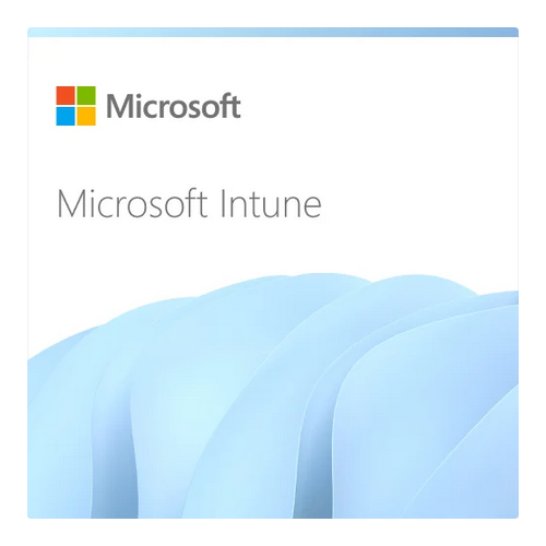 Microsoft Intune Plan 1, 1Year