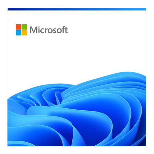 Microsoft Entra Private Access, 1Year