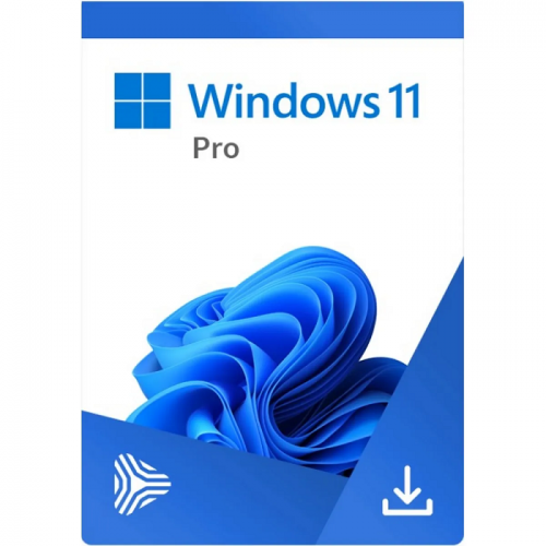 Microsoft Windows 11 Professional 64-bit, Romana, OEM, DVD