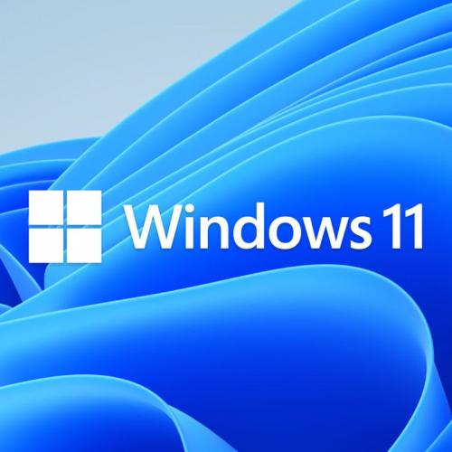 Licenta retail Microsoft Windows 11 Home 32-bit/64-bit English USB P2