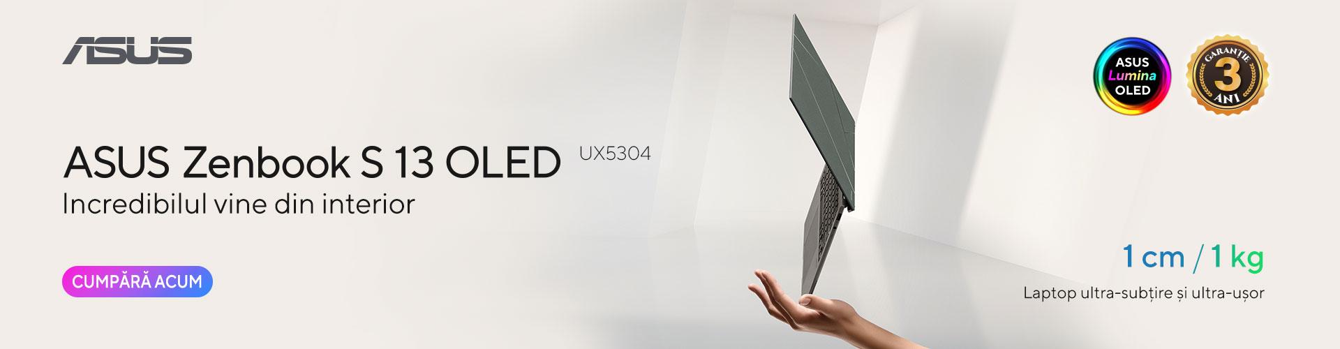 UX5304VA-NQ113X